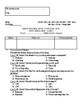 Bài kiểm tra Học kỳ II môn Khoa học Lớp 4 - Năm học 2020-2021 (Có đáp án)